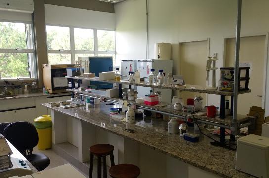 Instalações do Laboratório de Bioquímica e Genética Aplicada da UFSCar. Foto: Gisele Bicaletto