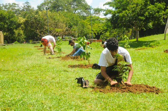 Alunos e alunas fazem plantio de mudas na UFSCar (Foto: Christian Savi - CCS/UFSCar)