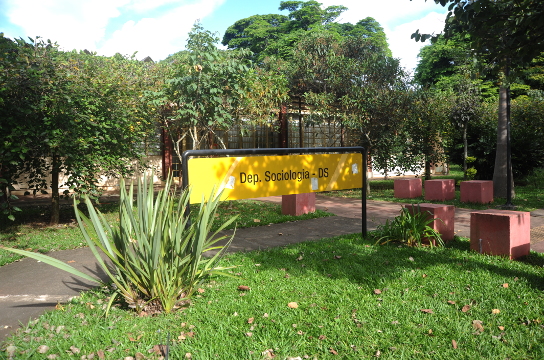 Departamento de Sociologia está no Campus São Carlos da Universidade (Foto: Matheus Mazini - CCS)
