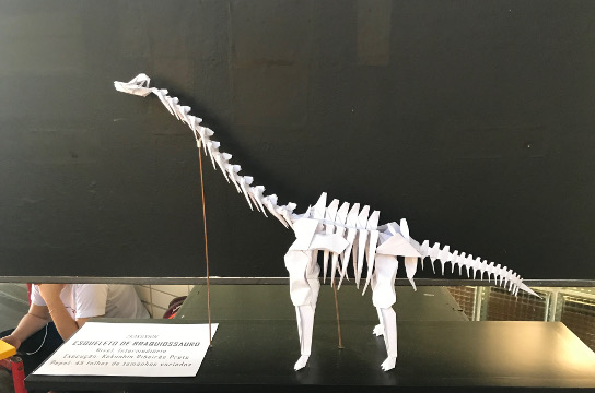 Esqueleto de braquiossauro feito em origami (Foto: Adriana Arruda - CCS)