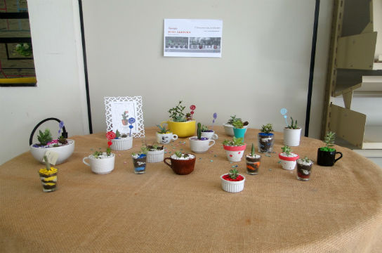 Exposição de Mini Jardins na Biblioteca. Foto: Janaína Felisberto