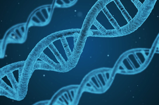 Pesquisa da UFSCar faz estudo genético de doenças renais raras (Foto: Pixabay)