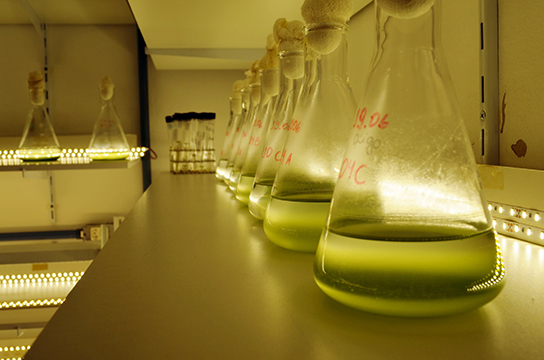 Laboratórios poderão ser utilizados para incentivo à inovação (Foto: Tatiane Liberato/AIn UFSCar)