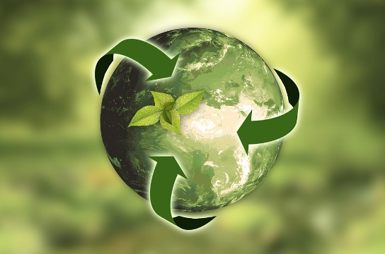 Cursos de especialização enfocam na área de Sustentabilidade (Imagem: Pixabay)