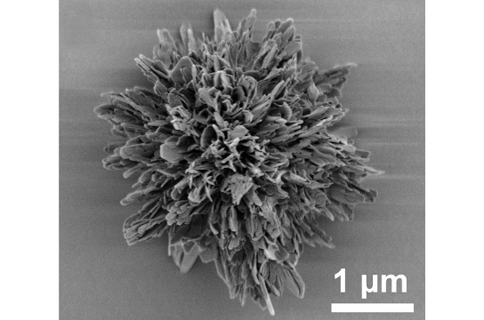 Imagem de microscopia eletrônica da partícula sintetizada pelos pesquisadores (Crédito: Divulgação)