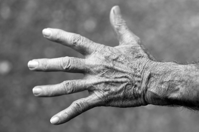 Resultados permitem o diagnóstico precoce em relação à mobilidade de idosos (Imagem: Pixabay)