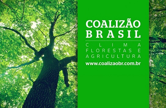 Webinar é gratuito e aberto ao público (Imagem: Coalizão Brasil Clima, Florestas e Agricultura)