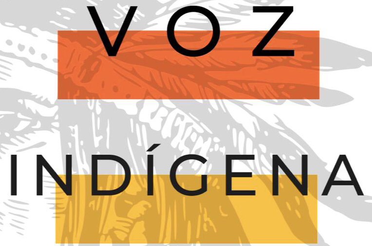 Iniciativa apresenta vídeos, entrevistas e músicas sobre tema indígena (Imagem: Reprodução)