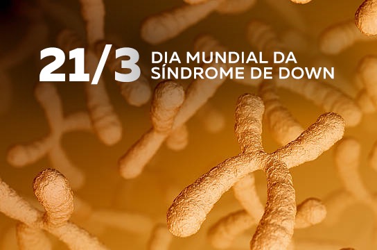Data faz alusão à presença de três cópias do cromossomo 21 (Imagem: Matheus Mazini)