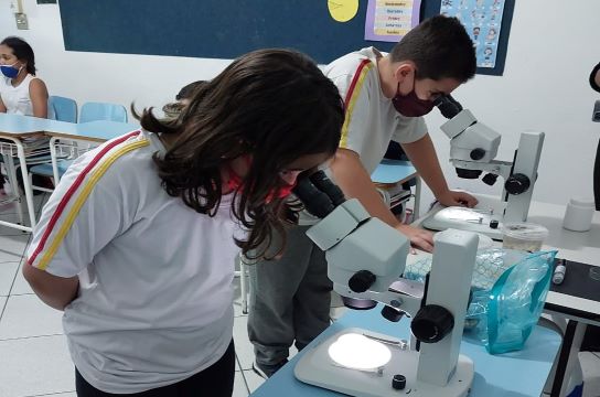 Atividade de observação de microrganismos realizada durante a visita (Foto: Gisele Bicaletto)