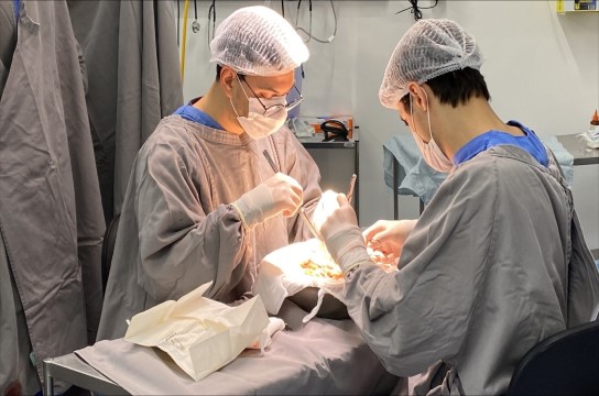 Procedimento de captação de órgãos realizado no HU, em 2/6 (Foto: HU-UFSCar)