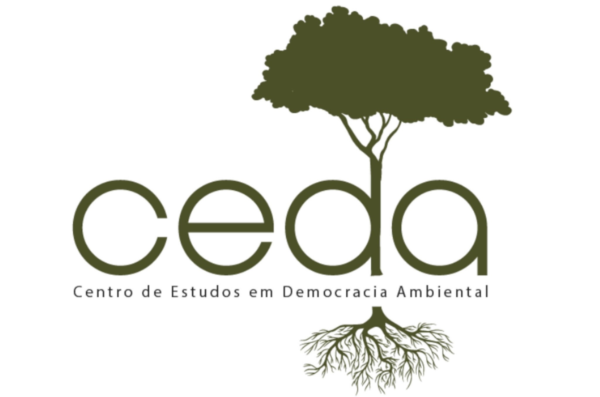 Curso do CEDA confere certificação (Imagem: Divulgação)
