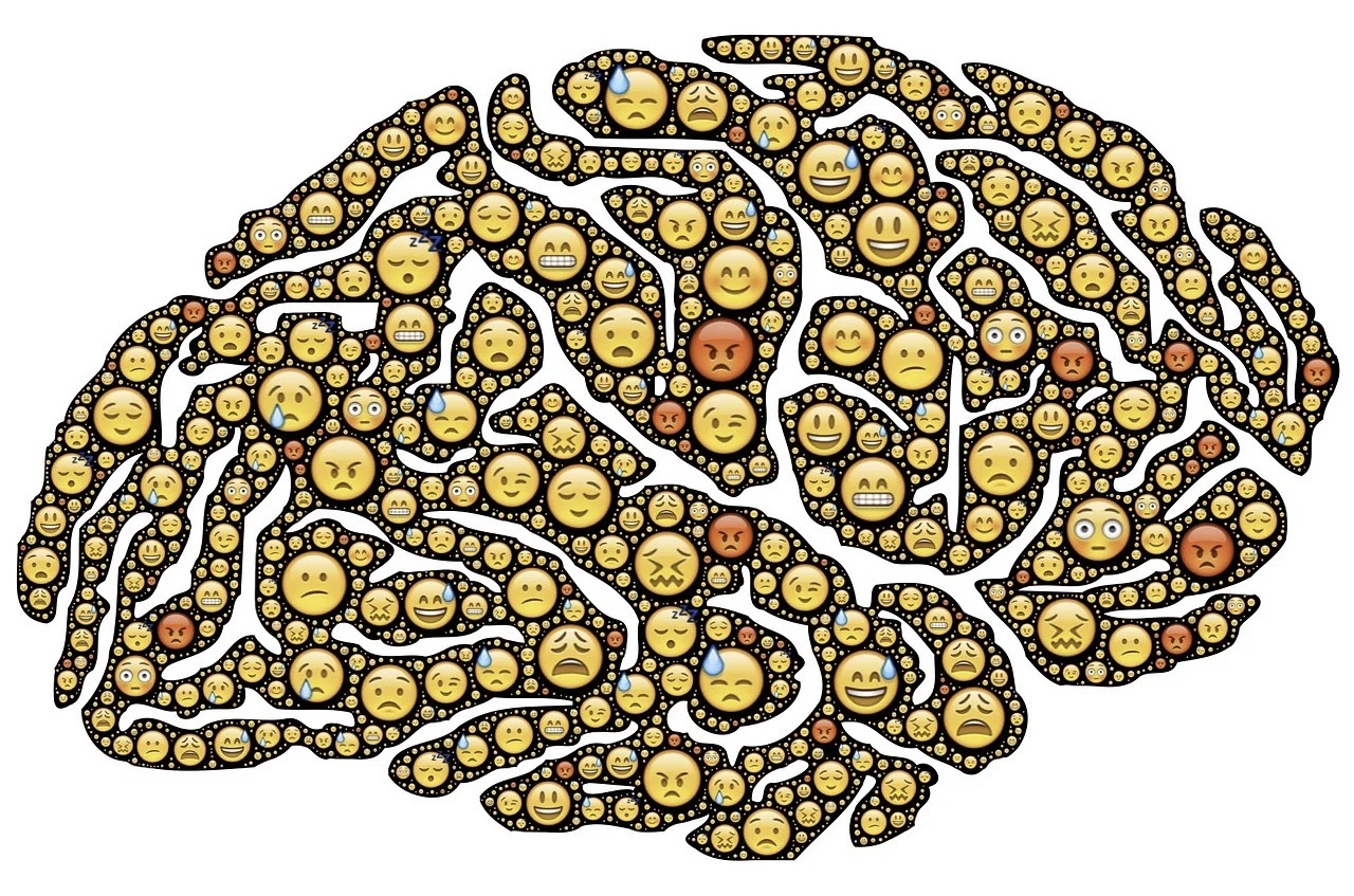 Pesquisa estuda relação entre identificar e autorregular emoções