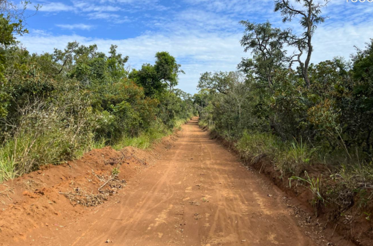Operação Corta Fogo realiza queima prescrita no Cerrado da UFSCar