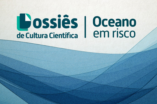 Publicação aborda impacto da ocupação desordenada das praias brasileiras