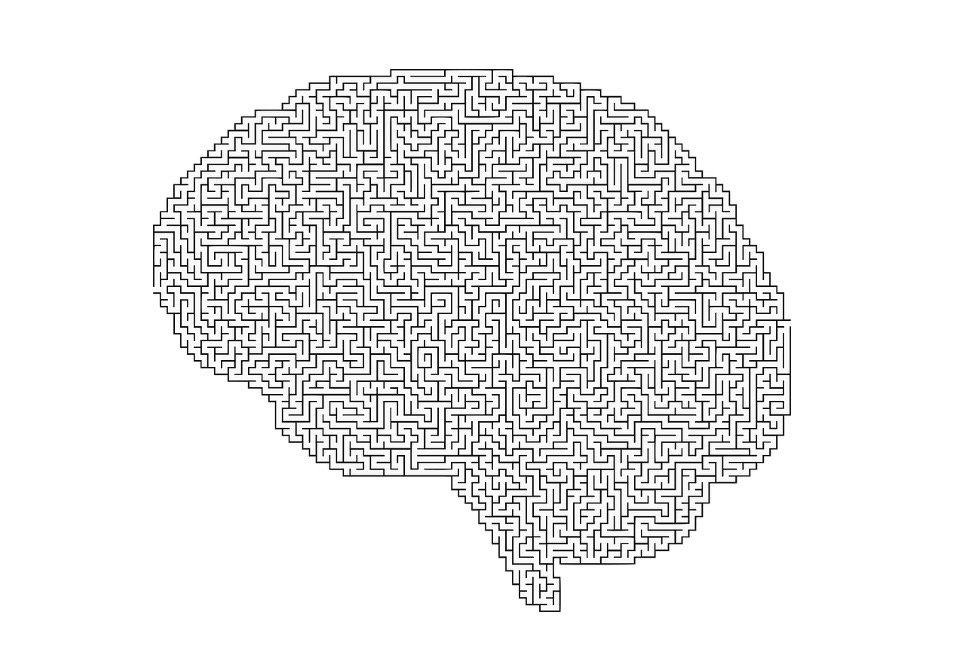 Estudo adapta teste para avaliar inteligência da população brasileira