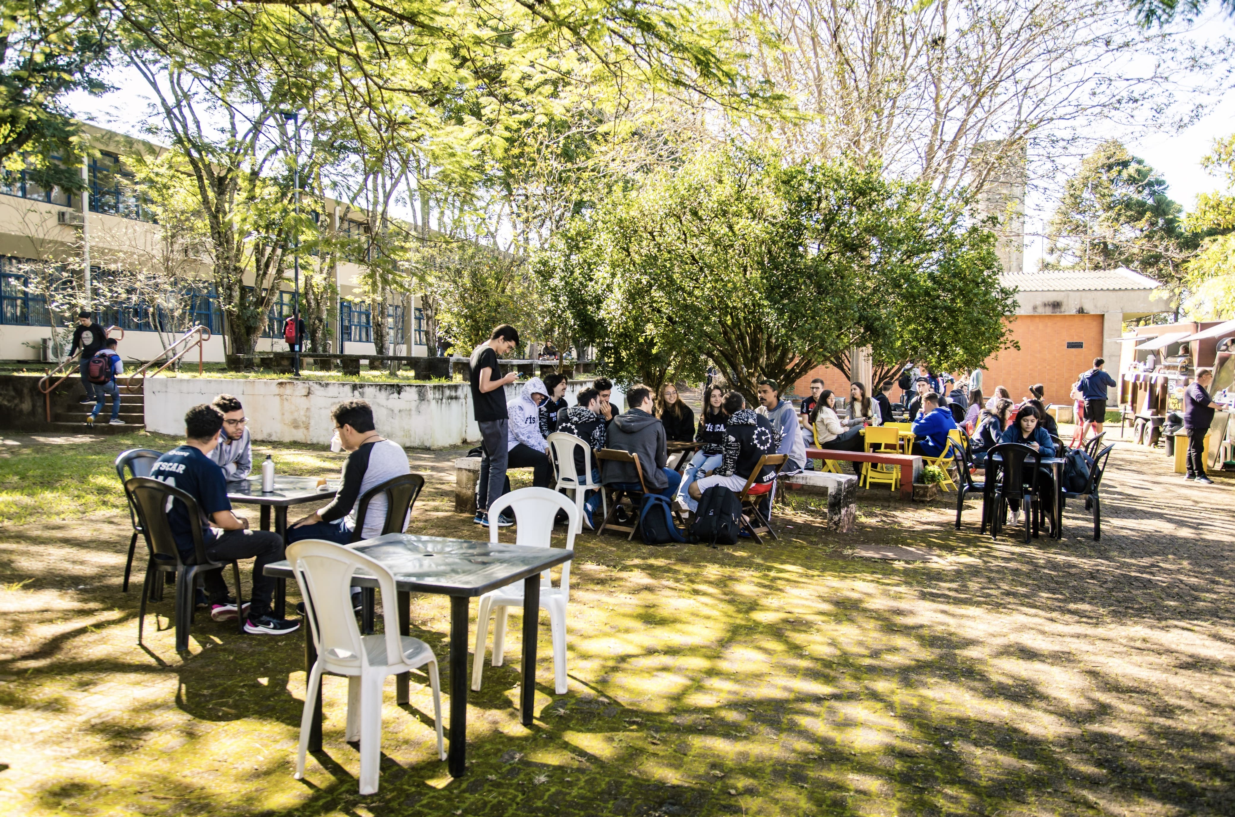 Pesquisa convida graduandos para responderem a questionário online e anônimo (Imagem: CCS/UFSCar)