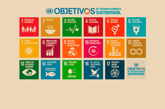UFSCar é destaque em ranking que mede compromisso com os ODS da ONU