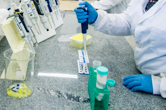 Experimentação em laboratório da UFSCar (Foto: Acervo CCS/Milanetto)