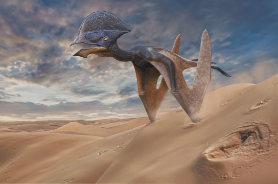 Descobertas as primeiras pegadas de pterossauros do Brasil