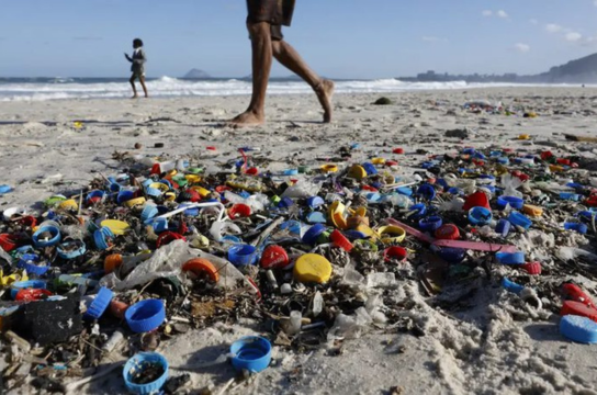 Projeto Temático tem coordenação de Unicamp, UFSCar e USP (Foto: Fernando Frazão/Agência Brasil)