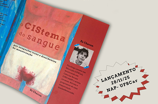 Obra articula pesquisa de mestrado e projetos culturais (Imagem: Reprodução)