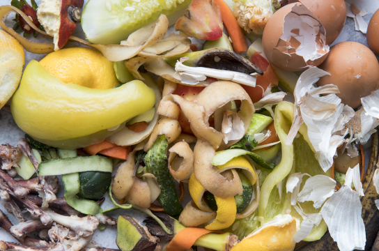 Projeto usa resíduos para impulsionar transição energética na UFSCar