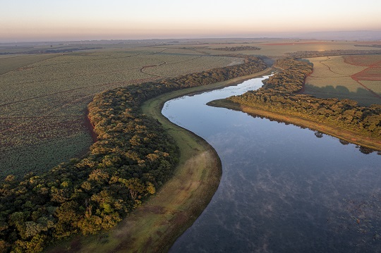Leis e uso da terra transformam matas ciliares em SP