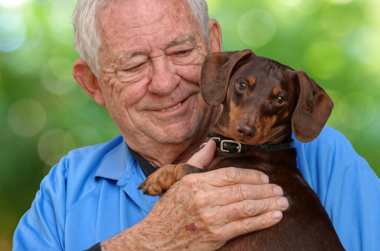 Cães e tutores humanos compartilham exposição a fatores ambientais (Imagem: Freepik)