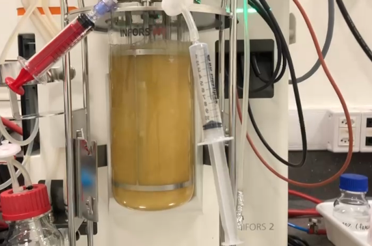 Pesquisa da UFSCar propõe alternativa ao lítio em baterias