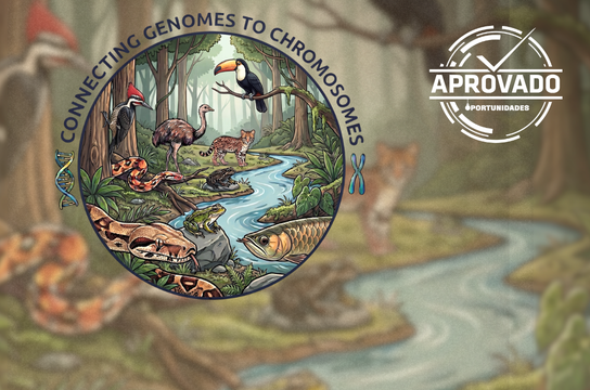  Pesquisa busca identificar rearranjos cromossômicos em animais vertebrados (Arte: Henrique Matheus)