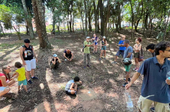 BioBlitz realiza mutirão de observação da natureza no Parque Ecológico