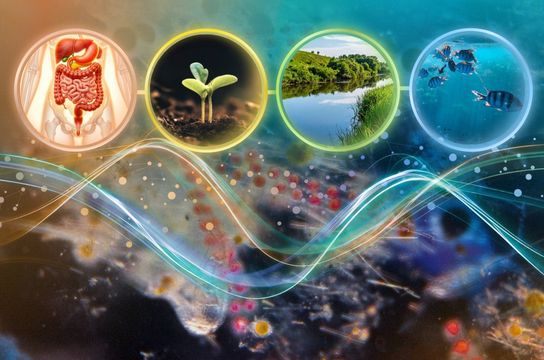 Estudo genômico comprova teoria ecológica clássica em microrganismos