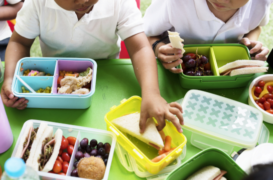 Estudo da UFSCar discute papel da escola na formação alimentar infantil