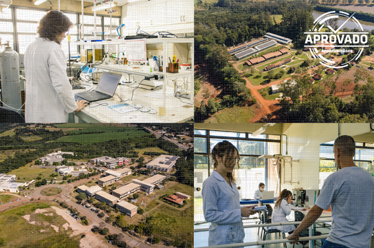 UFSCar tem 10 docentes contemplados na chamada Primeiros Projetos
