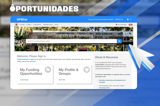 Servidores e estudantes podem fazer buscas de oportunidades na plataforma (Arte: Henrique Matheus)