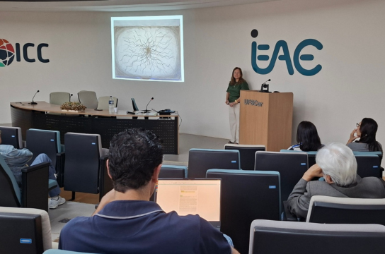 Cátedra do IEAE realiza palestra sobre inovação e empreendedorismo