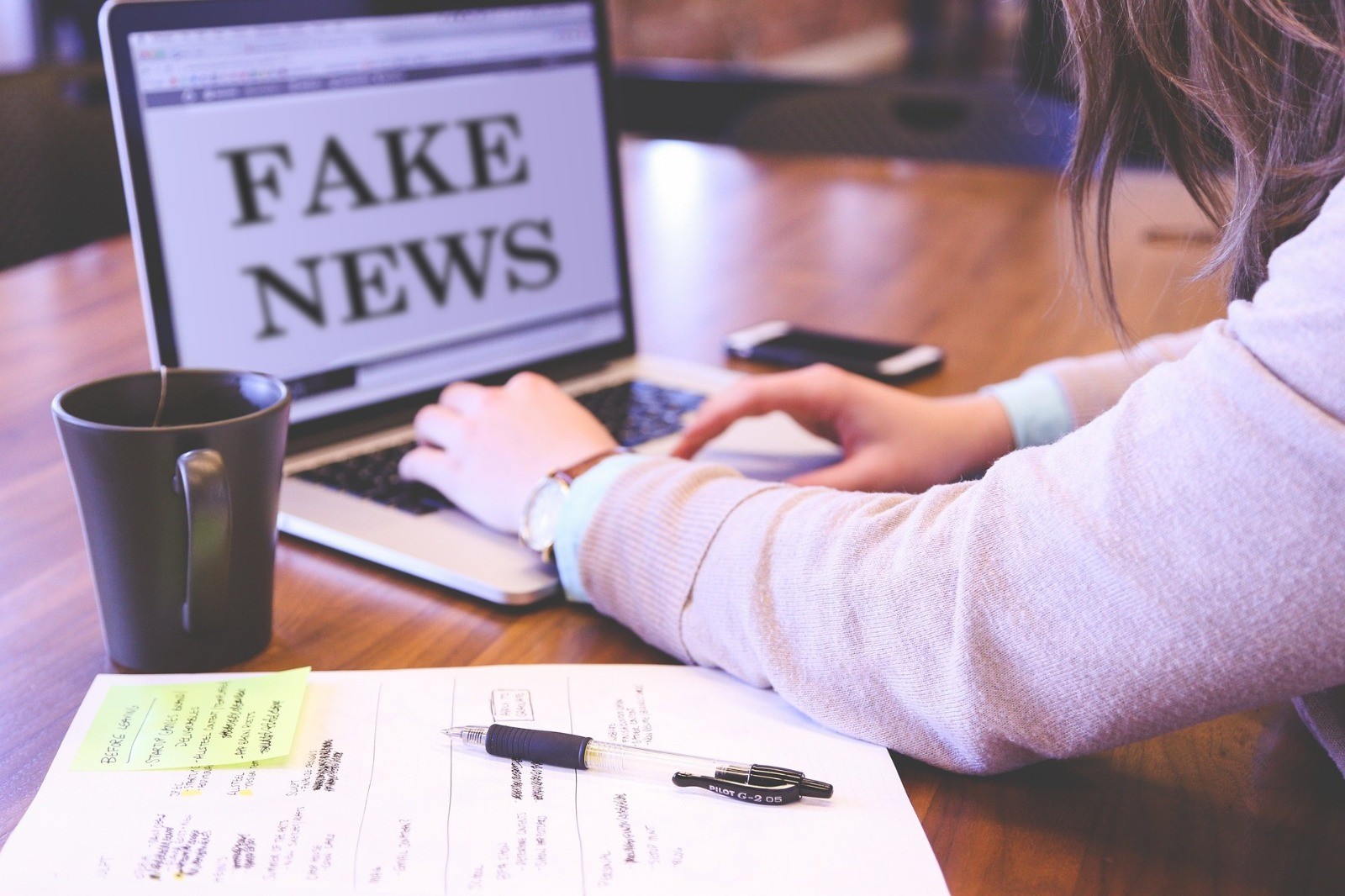 Pesquisa da Psicologia investiga capacidade de reconhecer fake news