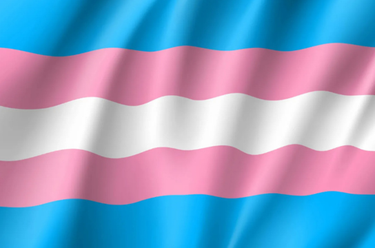 UFSCar abre inscrições para ingresso de pessoas trans em 2027